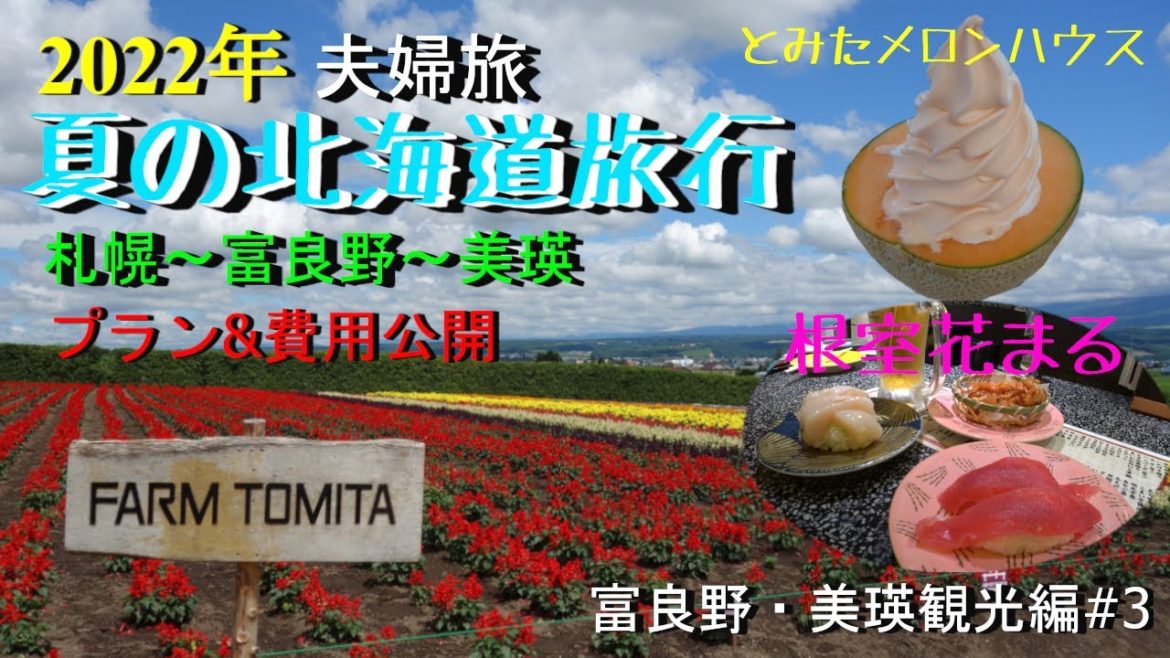 【夏の北海道旅行 富良野・美瑛観光編#3】レンタカ-を借り、富良野と美瑛を1日観光して来ました!富良野ではファーム富田のラベンダ-畑を見学し、美瑛ではセブンスタ-の木や北西の丘展望公園を訪れています。 【夏の北海道旅行 富良野・美瑛観光編#3】レンタカ-を借り、富良野と美瑛を1日観光して来ました!富良野ではファーム富田のラベンダ-畑を見学し、美瑛ではセブンスタ-の木や北西の丘展望公園を訪れています。