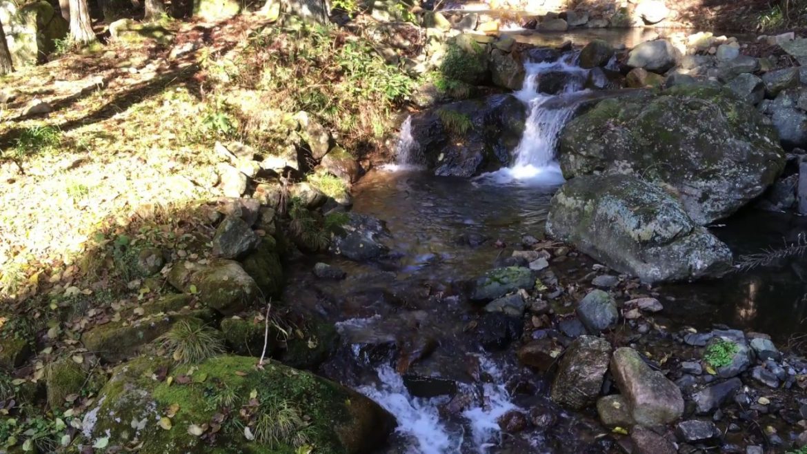 Natural Trip【0013】 Natural Trip【0013】