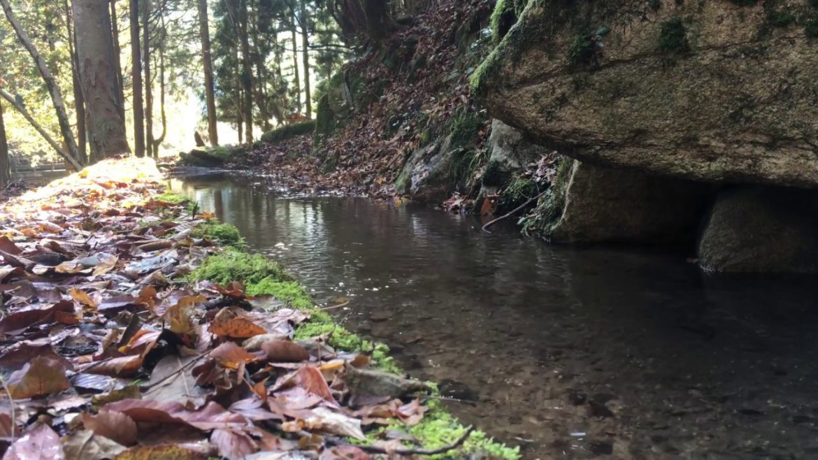 Natural Trip【0017】 Natural Trip【0017】