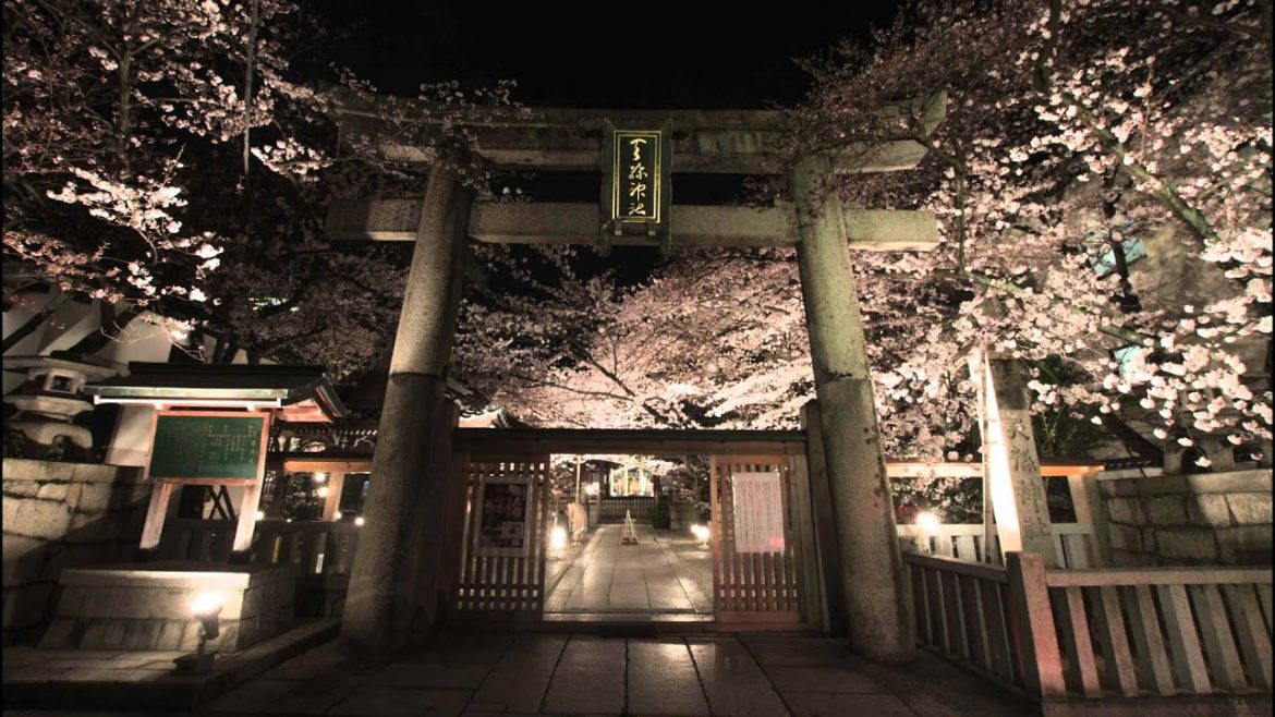 Field trip Vol7 Tenson jinja Shrine