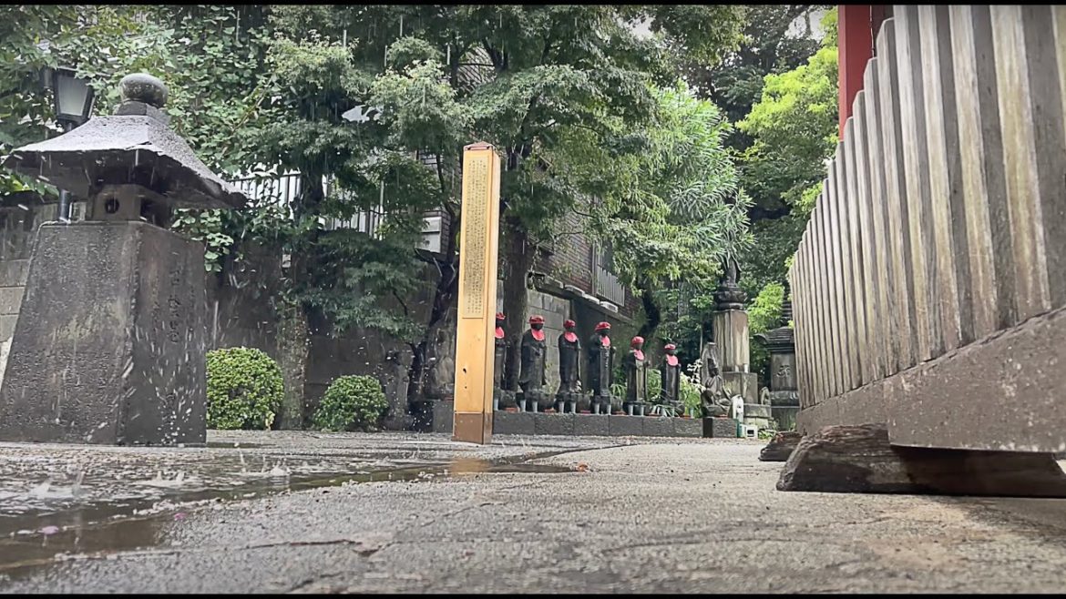 Walking in the Rain in Tokyo: Nippori, Yanaka Area – Rain Sounds, Rain Ambience, White Noise Walking in the Rain in Tokyo: Nippori, Yanaka Area - Rain Sounds, Rain Ambience, White Noise