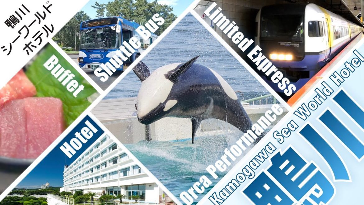 【鴨川シーワールドホテル】やばいホテル…電車で鴨川シーワールドのホテルに泊まってみたら○○○しか楽しめなかった【Vlog】