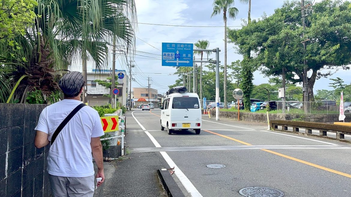 🔴Aoshima Miyazaki! 🐱 ⛩