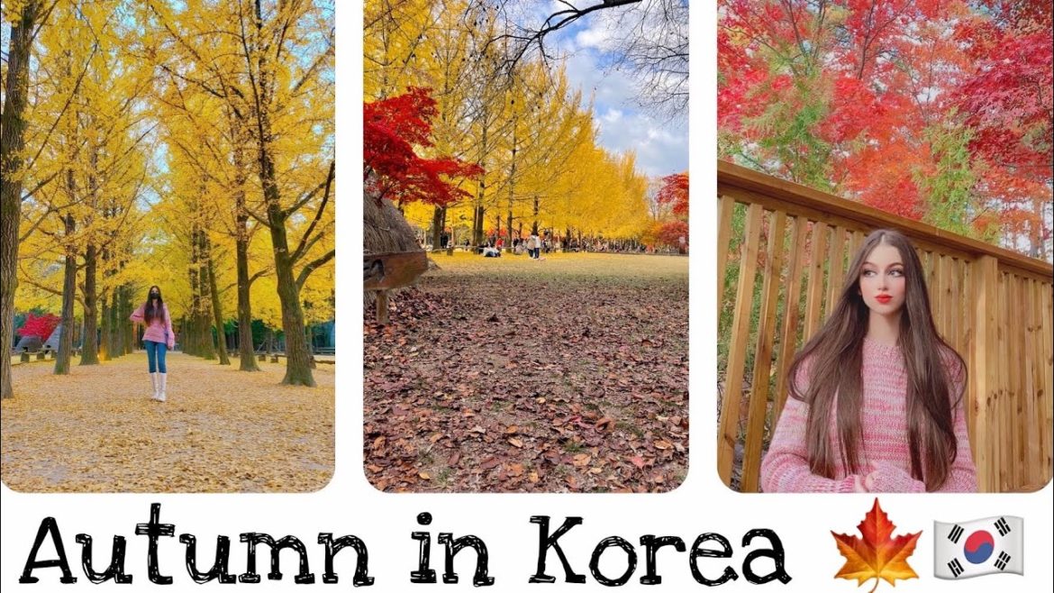 Korea Vlog [4K] Autumn in Nami island 남이섬 🇰🇷 Colorful World 🍁 Korea Travel  2021 .