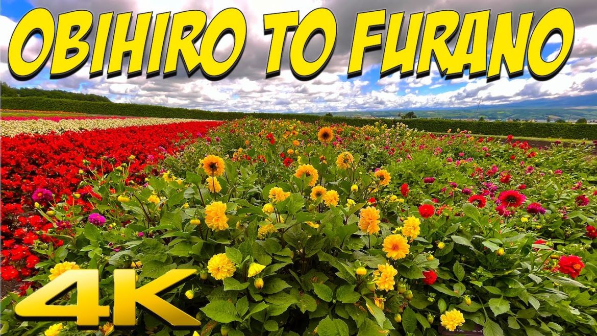 4K JAPAN | OBIHIRO to FURANO in HOKKAIDO