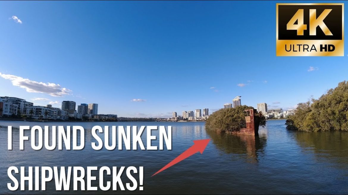 [4K] Virtual Mangrove Forest Walk | Shipwrecks, Natural Wetlands, & Bird Sounds