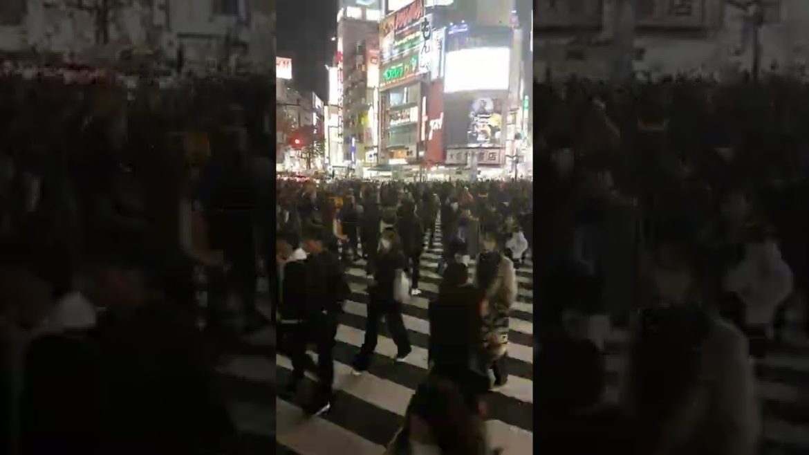 JAPAN please open up soon 😪 #japan #scramblecrossing #shibuya #Tokyo #harajuku #shinjuku #asia JAPAN please open up soon 😪 #japan #scramblecrossing #shibuya #Tokyo #harajuku #shinjuku #asia