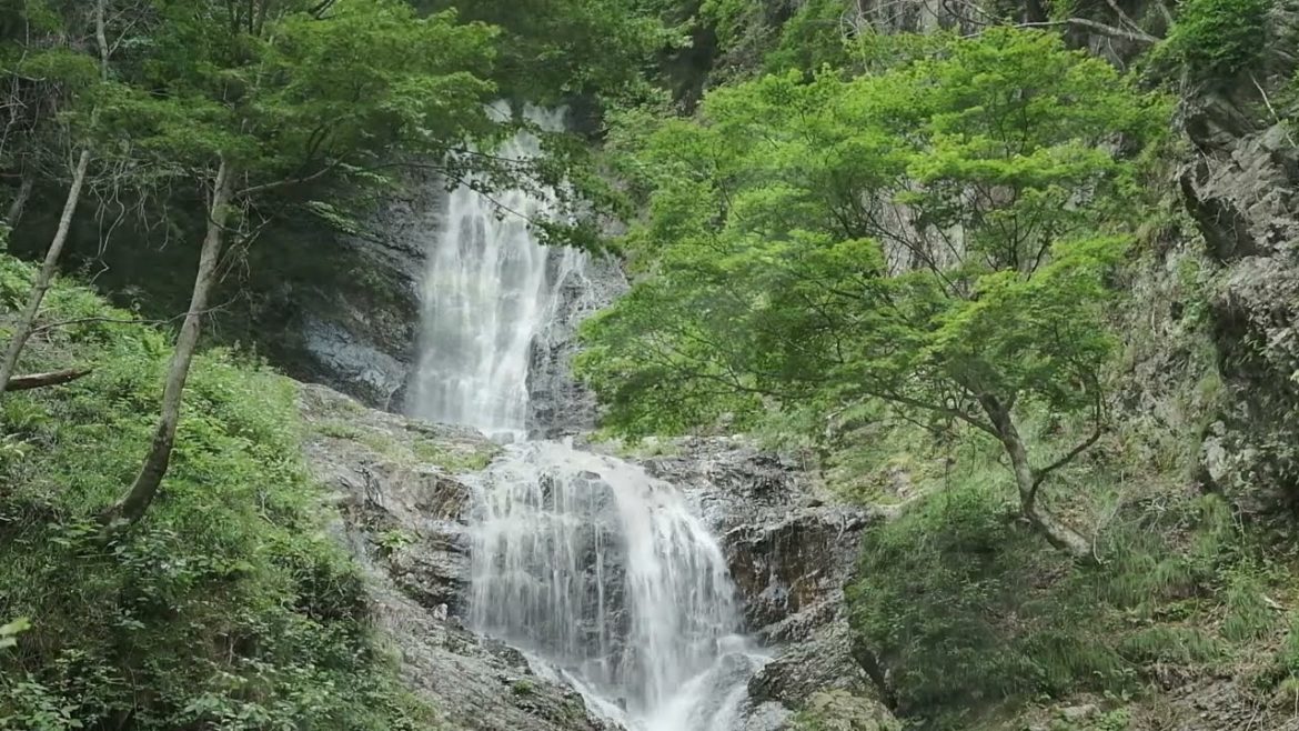 唐沢の滝 (長野県木曽郡)2022.8.2 (Karasawa Falls [Kiso District, Nagano Prefecture] 8.2.2022