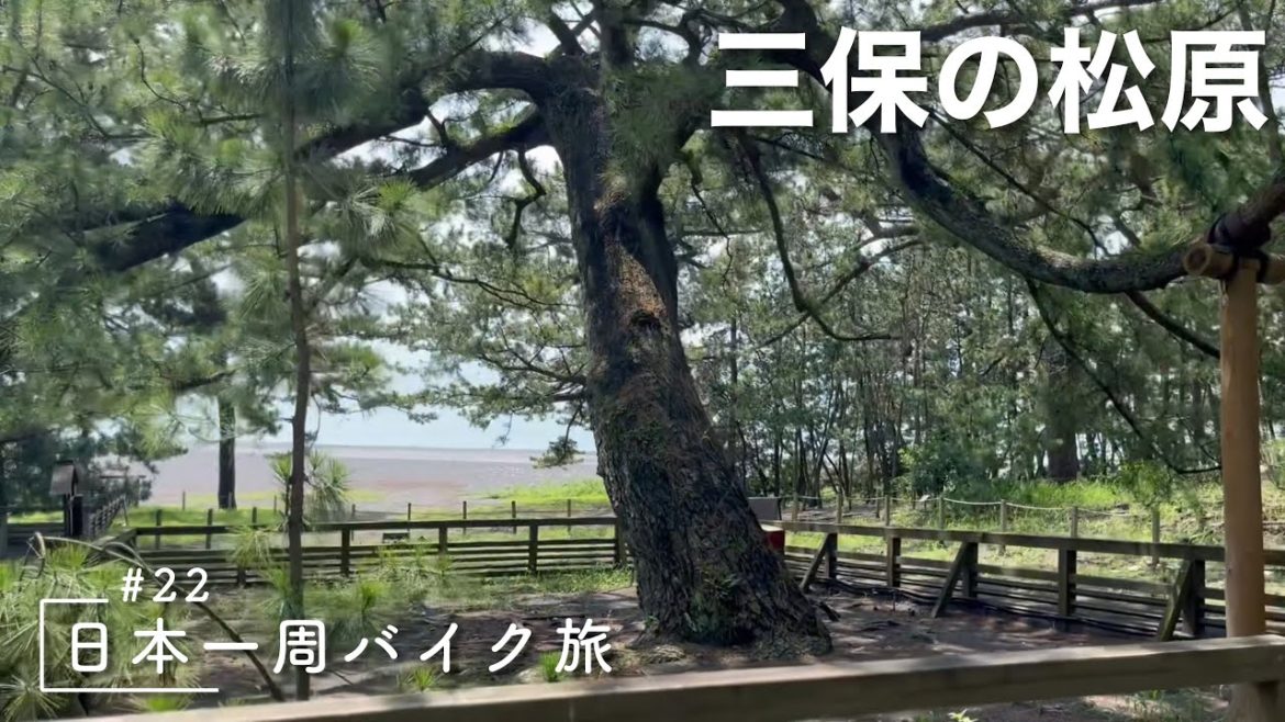 【日本一周バイク旅#22】静岡を抜けて愛知まで!三保の松原、弁天島、etc【静岡 富士市〜愛知 豊橋】 【日本一周バイク旅#22】静岡を抜けて愛知まで!三保の松原、弁天島、etc【静岡 富士市〜愛知 豊橋】