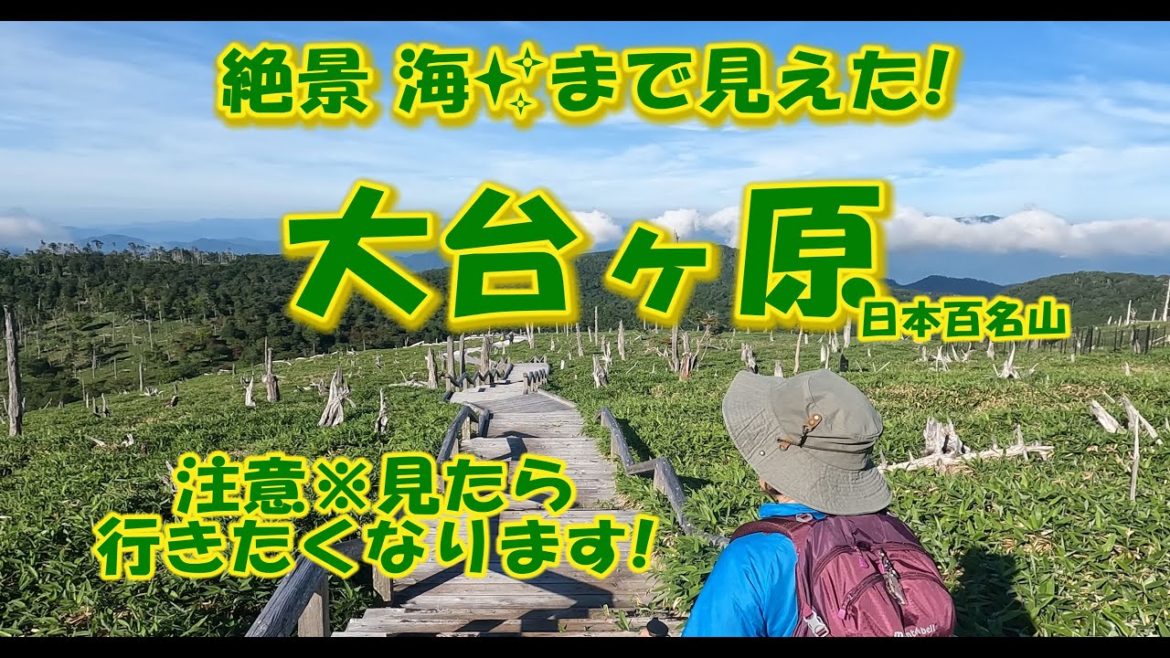 注意見たら行きたくなります！絶景海まで見えた大台ケ原 #登山 ＃大台ヶ原#おすすめ絶景