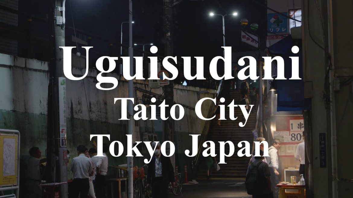 Walking tour in Uguisudani, Tokyo Japan - Night Life/Love Hotel GH6 + LEICA 10-25mm/F1.7