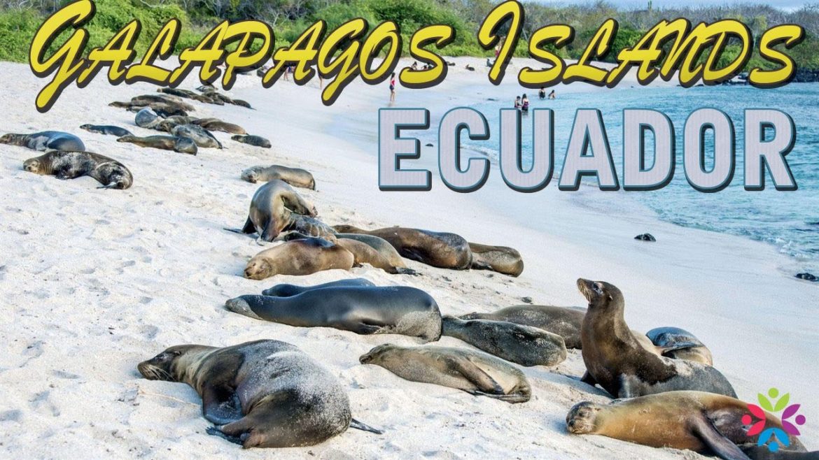 GALAPAGOS ISLANDS ECUADOR