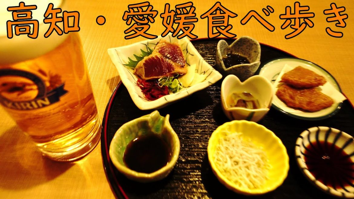 【高知と愛媛食べ歩き】ひろめ市場・松山・道後温泉ひとり旅/Kochi and Ehime Food Tour of Shikoku Japan. Dogo Onsen.