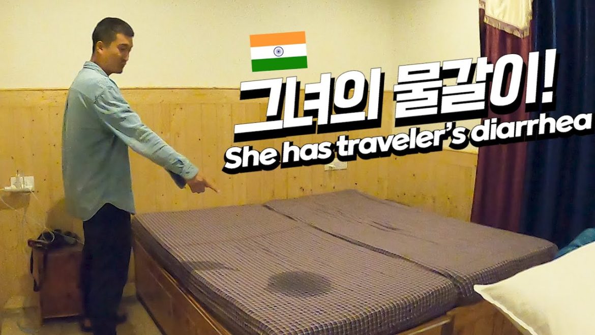 어쩔 수 없이 인도여행을 멈춥니다요 (세계여행#70 / 인도여행)