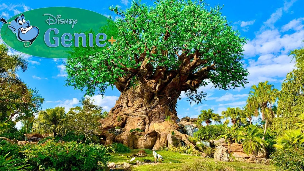 Is Disney Genie+ Service  Worth it at Animal Kingdom | Disney Genie Plus and Lightning Lane