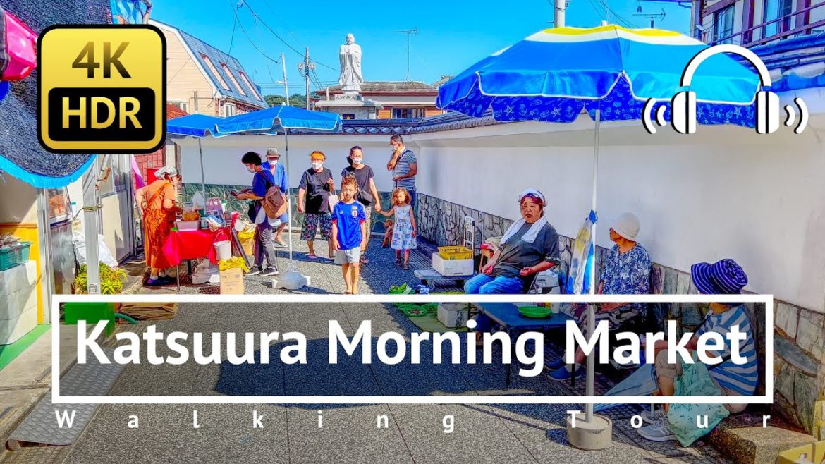 No Excessive Heat Over 100 Years! Cool Katsuura Morning Market - Chiba Japan [4K/HDR/Binaural]