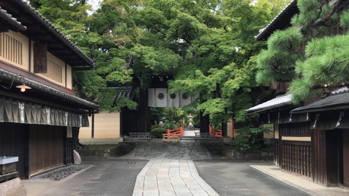 22年8月24日 ゆっくりと洛北の京都を歩く 今宮神社,大徳寺,新大宮商店街,北山大宮 Walk around Kyoto city,Japan vlog 22年8月24日 ゆっくりと洛北の京都を歩く 今宮神社,大徳寺,新大宮商店街,北山大宮 Walk around Kyoto city,Japan vlog