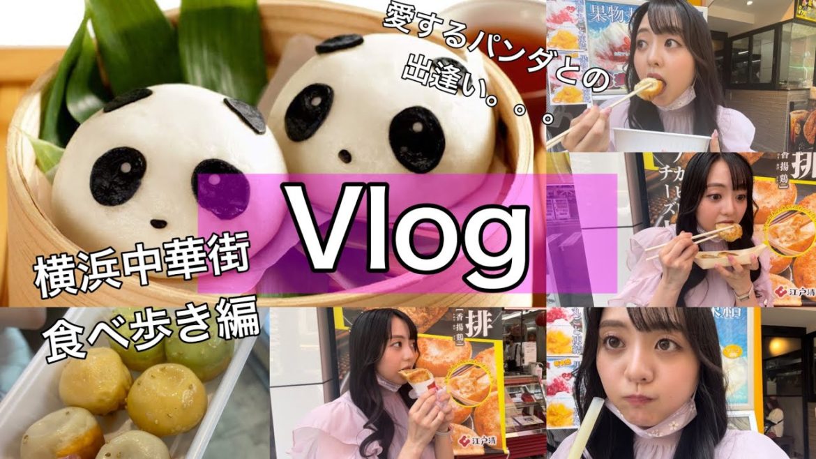 【黒木あやめ】Vlog - 横浜中華街でパンダとの出会い- 『Vlog』『横浜中華街』