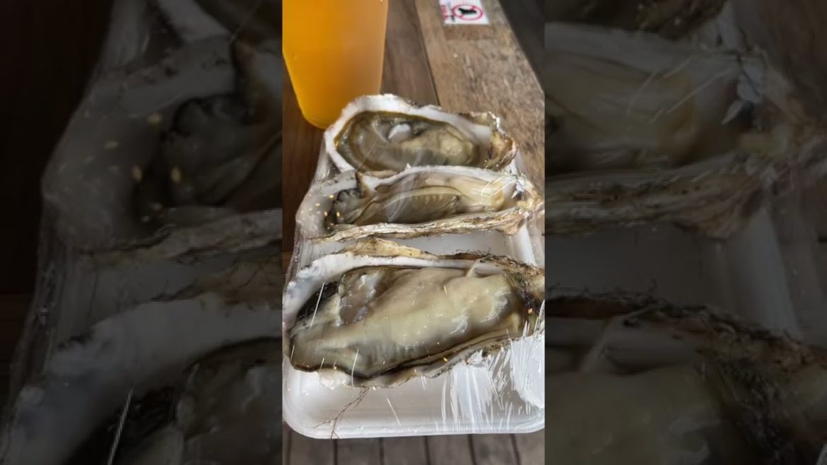 海鮮バーベキュー🦐 #shorts ＃とれとれ市場 ＃白浜