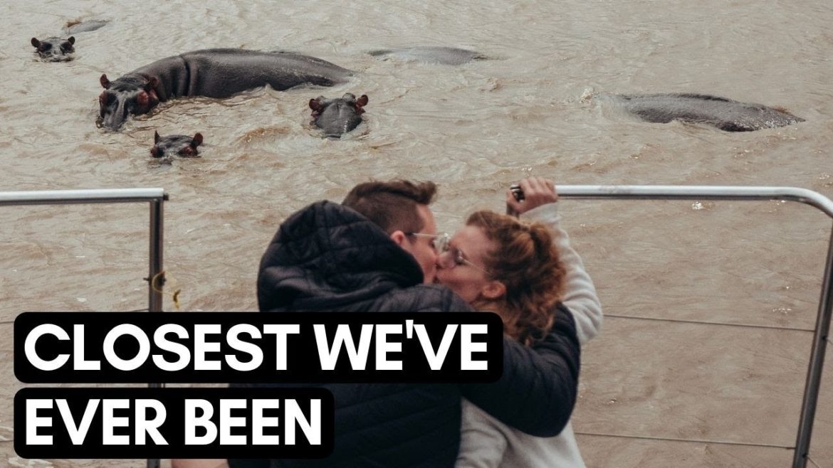 AMAZING Hippo and Crocodile Boat Cruise | We were SO CLOSE | VLOG #077