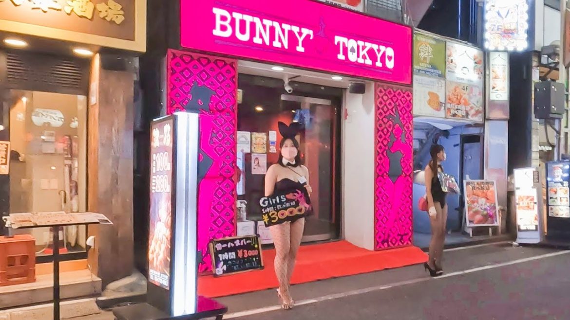 【JAPAN 4K】Nonstop  Night Walk  SHINJUKU 新宿 夜歩き　Tokyo GoPro HERO 10