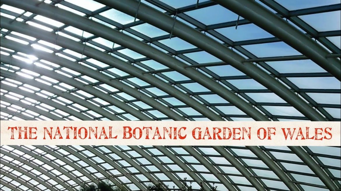 The National Botanic Garden of Wales #visitwales #TheNationalBotanicgarden The National Botanic Garden of Wales #visitwales #TheNationalBotanicgarden