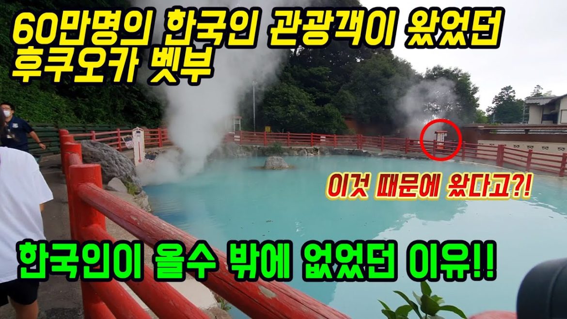 60만명의 한국인 관광객이 왔었던 후쿠오카 오이타현 벳부 한국인이 올수 밖에 없었던 이유!! 이것때문에 왔다고?! japan travel tsushima fukuoka 福岡 対馬島