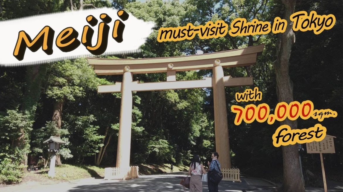 Japan Update, Meiji Shrine in 2022, the most visit shrine in Tokyo.