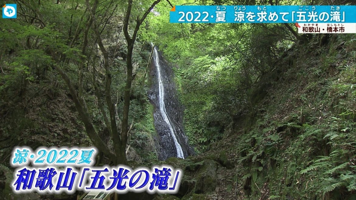 【#涼2022】清楚な“五光の滝” 高野山の入り口 和歌山・橋本を探索 【#涼2022】清楚な“五光の滝” 高野山の入り口 和歌山・橋本を探索