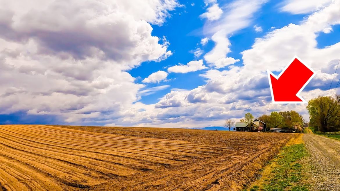 Hotels with beautiful scenery in Hokkaido ”Hoshi no anne” 😪│星の庵 北海道富良野🏩