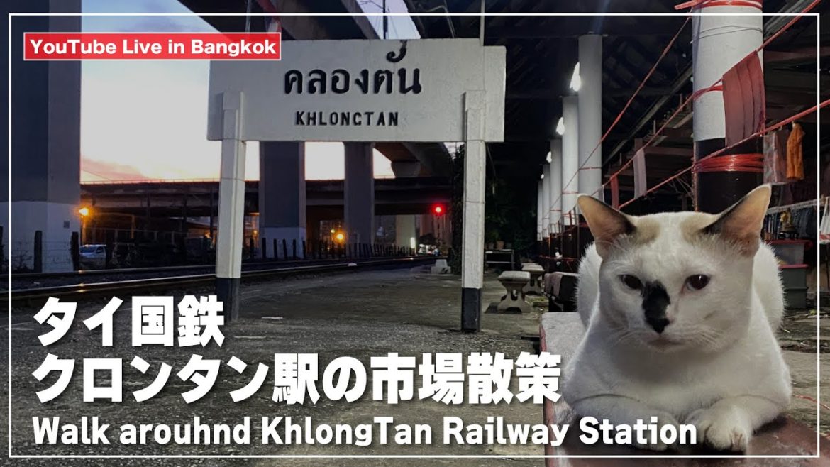【タイ国鉄】クロンタン駅にある市場を散策｜คลองตัน