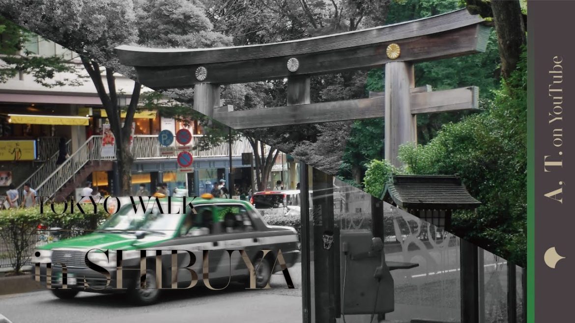 東京散歩 渋谷篇|TOKYO WALK IN SHIBUYA 東京散歩 渋谷篇|TOKYO WALK IN SHIBUYA