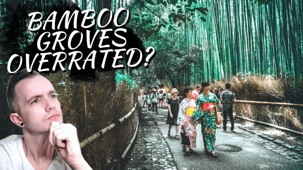 Is Kyoto's Bamboo Grove Overrated? A Comprehensive Travel Guide!