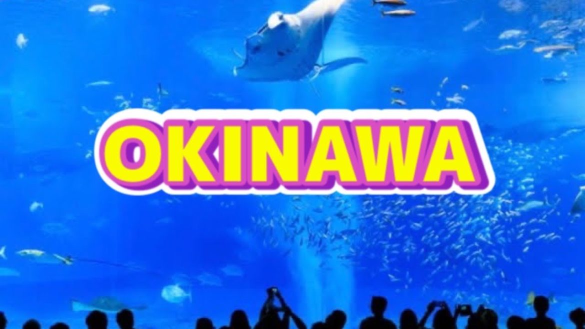 2020.3 Japan Okinawa Travel 新型コロナ渦で沖縄へ旅行できない…なので動画を見て沖縄へ旅行したつもりになろう！#沖縄