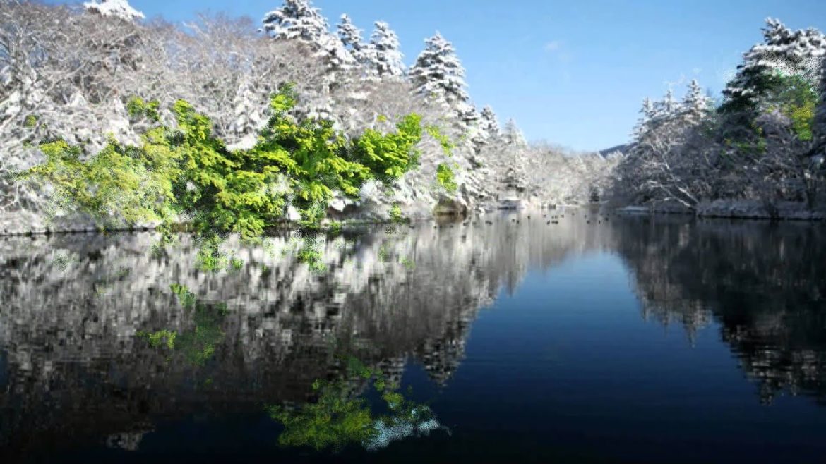 Japan Trip:The Magic of Japan's Four Season felt at Kumobaike Pond in Karuizawa, Nagano 49 Japan Trip:The Magic of Japan's Four Season felt at Kumobaike Pond in Karuizawa, Nagano 49