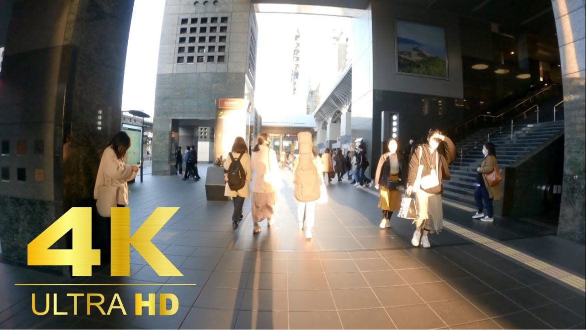 [4K] Remembering errands and walking for 1 hour to Kyoto Station.