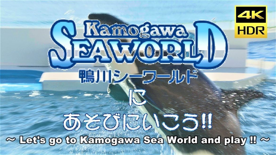 鴨川シーワールドにあそびにいこう!! ～ Let's go to "Kamogawa Sea World" in Japan and play !!～【4K/60p HDR 10bit 高画質🤣‼️】