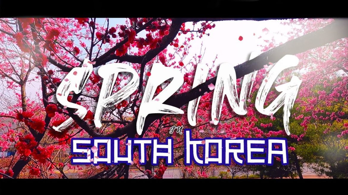 Spring in South Korea | Cinematic video | 4k Gopro hero 9