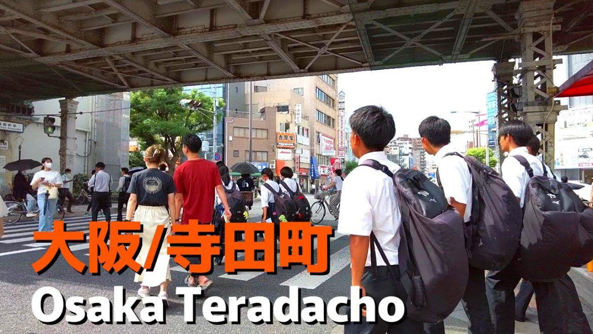 Walking Japan | Take a walk on the Ikuno Ward side of Osaka "Teradacho".