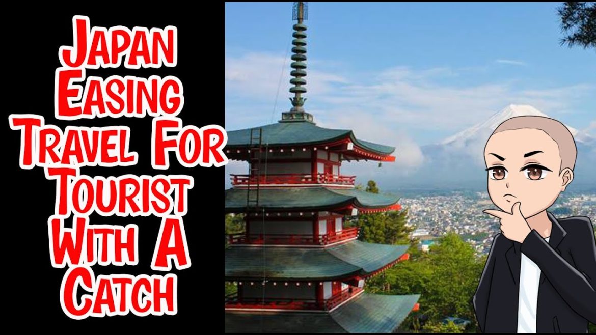 Japan is Finally Letting Individual Tourist In Again   BUT THERE IS A CATCH #japan