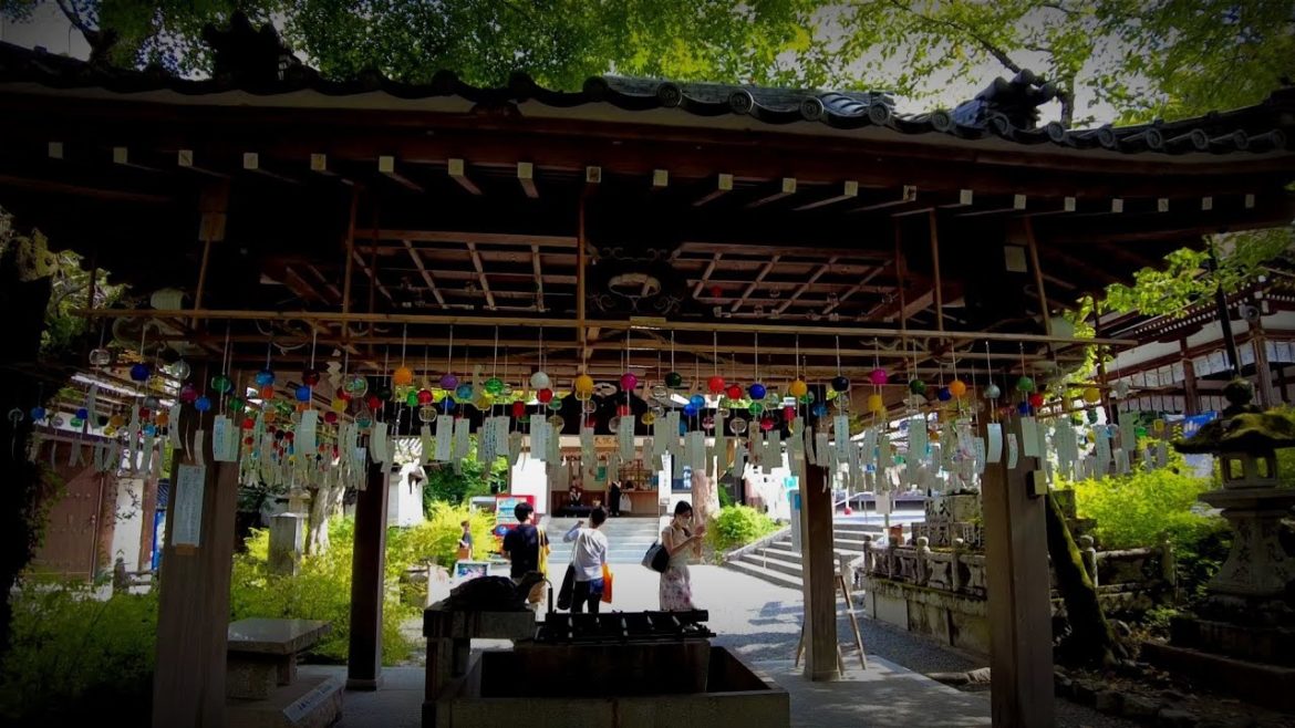 8/26(金)京都癒し散歩【美しい秘密の寺社を歩く⑦】/Relax walk! Kyoto secret temple or shrine 8/26(金)京都癒し散歩【美しい秘密の寺社を歩く⑦】/Relax walk! Kyoto secret temple or shrine