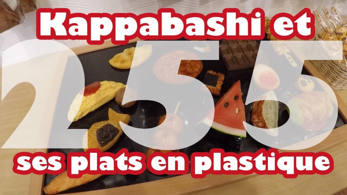 Kappabashi et ses plats en plastique (vlog Japon #255) Kappabashi et ses plats en plastique (vlog Japon #255)