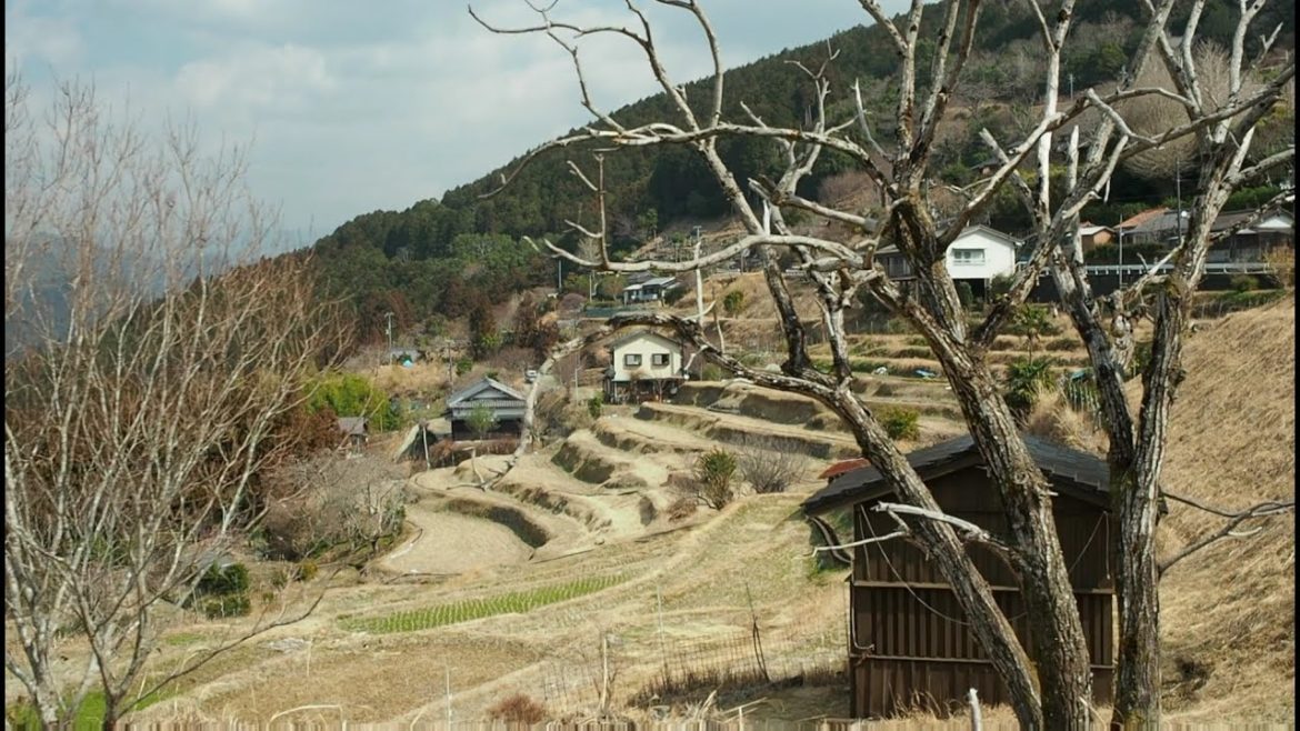 熊野古道の中辺路高原【田舎の風景・傾斜地】Nakahechi Takahara, Tanabe City, Wakayama, Japan