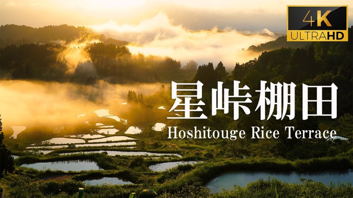 [4K]【日本の原風景】新潟県十日町星峠の棚田。雲海と光芒。