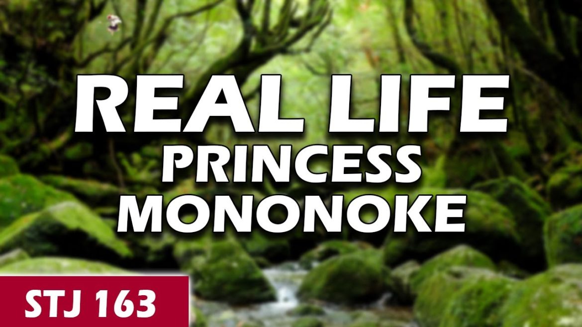 Yakushima's Need To Know Tips | STJ 163