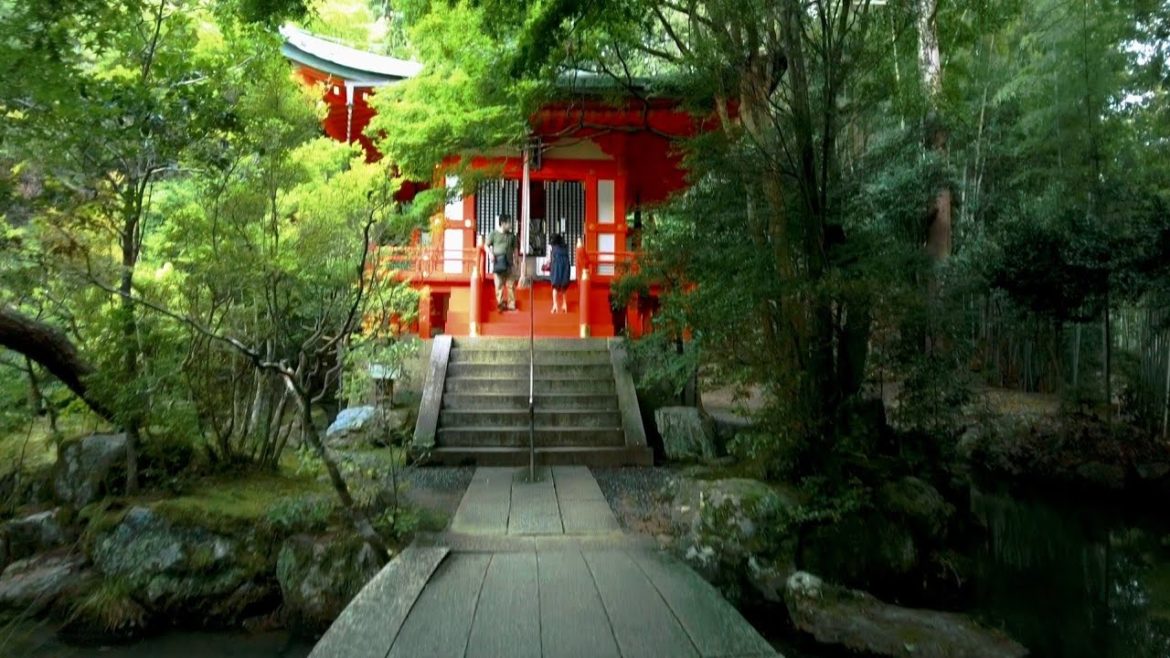 8/20(土)京都癒し散歩【美しい秘密の寺社を歩く④】/Relax walk! Kyoto secret temple