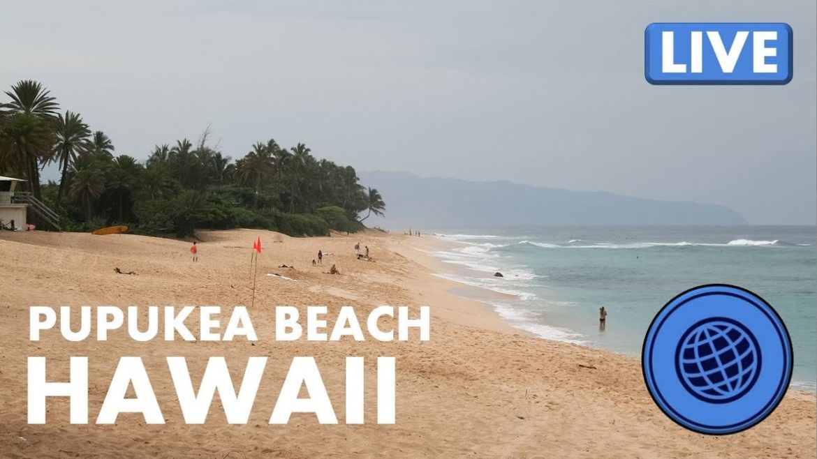 🌎 LIVE Cam: Pupukea Beach O‘ahu Honolulu Hawaii