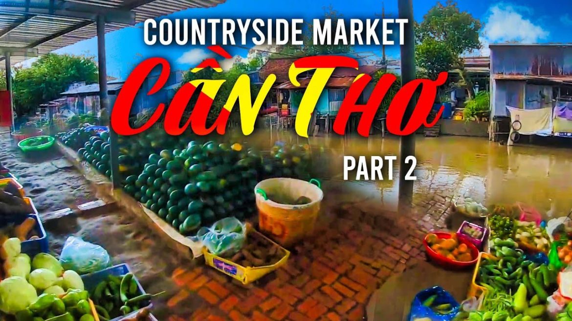 Vietnam Province Countryside Market - Riverside Street Tour