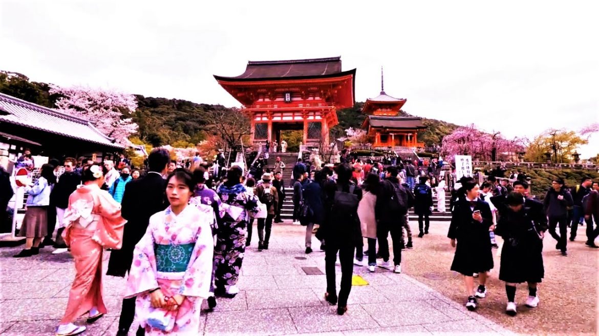 Kyoto Walk ||  Let's Explore Kyoto in 1 Minute || Part 20 ||  #shorts