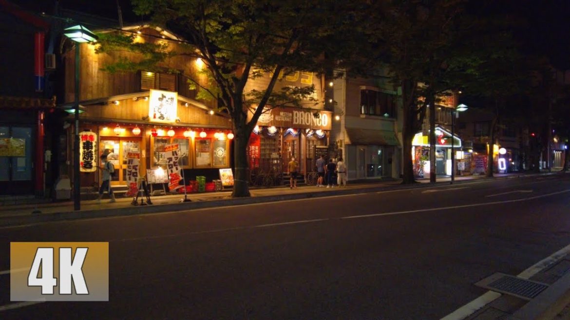 4K In the evening and at night, we took a walk in the downtown area near Niigata Station. 220814